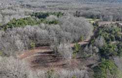 County Road 3170, Quitman, TX 75783