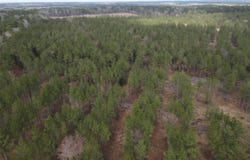 Lapile Road, Strong, AR 71765