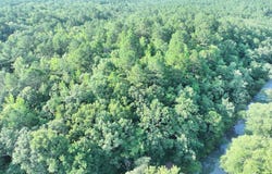 Highway 63, Hodgen, OK 74939