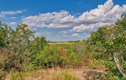 County Road 511 lot: 29, Hamilton, TX 76531