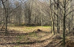 Parc 031 Glory Ridge Road, Shunk, PA 17768