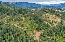 N Myrtle Road, Myrtle Creek, OR 97457