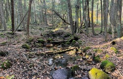 Marcy Rd lot: 1, Otis, MA 01253