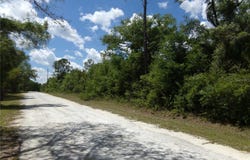 KNOXVILLE Drive, WEBSTER, FL 33597