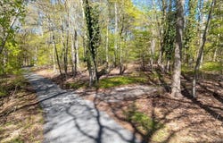 7 Spring Hill, Nissequogue, NY 11780