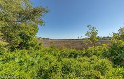 313 Brockinton Marsh, St. Simons Island, GA 31522