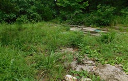 4286 SE 871 Road, Collins, MO 64738