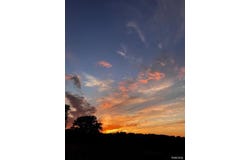 5555 Mast Road, Webster Twp, MI 48130