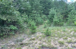 161 Sparrow Lane, Aylett, VA 23009