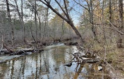 Countryside Dr, Quitman, AR 72131
