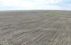 SW 90th, Coats, KS 67028