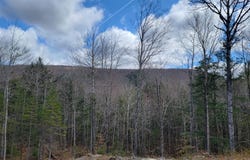 1009 Apres Way, Carrabassett Valley, ME 04947