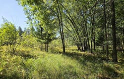 15 W Rapids Road, Tomahawk, WI 54539