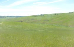 Douglas Rd. (Lot 43), San Miguel, CA 93451