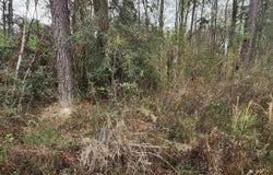 37344 Reinninger Rd, Denham Springs, LA 70706