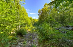 71 Sara's Trail, Bridgton, ME 04009