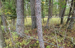 3100 Kootenai River Road, Libby, MT 59923