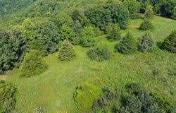Red Bridge Rd, Ozark, MO 65721