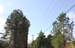PID 7331 US Hwy 59 N, Garrison, TX 75946