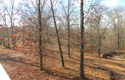 26713 Farm Road 1186, Eagle Rock, MO 65641