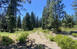 2-E-15 Snowline Cir, McCloud, CA 96057