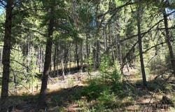 NNA Westmond Rd, Sagle, ID 83860