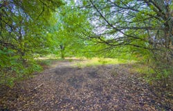 431 Hillside Drive, Aledo, TX 76008
