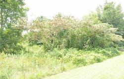Gunn Road, Byron, GA 31008