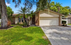 613 PINE FOREST Drive, BRANDON, FL 33511