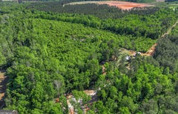 1453 Atwell Station Road, Wrens, GA 30833