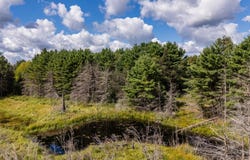3770 HWY 17, Conover, WI 54519