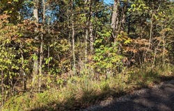 24990 Blue Waters Rd, Versailles, MO 65084