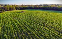 Brainerd, Crocker, MO 65452