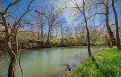 E 1000 Road, Stockton, MO 65785