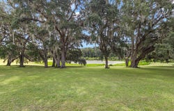 16450 SE 67th Pl, Morriston, FL 32668