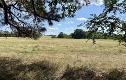 3.4 Acres County Road 661, Samson, AL 36477
