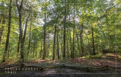 Fenley Forest lot: 11, Cullowhee, NC 28723