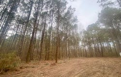 Crawley Road, Columbia, MS 39429