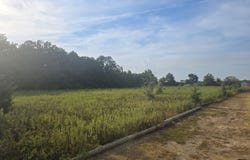 Walker Road, Cleveland, MS 38732