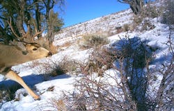 Fruitland, UT 84027