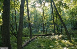 APPLEWAY, SAINT THOMAS, PA 17252