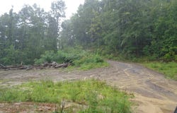 Atwell Mtn Rd, BRADSHAW, WV 24817