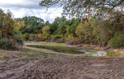 Ladewig Ln, Schulenburg, TX 78956