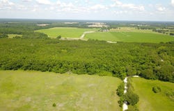 SE Wimberley Cir, Mayo, FL 32066