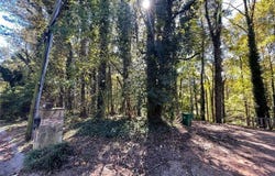 1060 De Leon Drive, Clarkston, GA 30021
