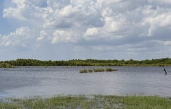 343 Stephens, Mathis, TX 78368