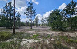 8 Marcantel Road, DeQuincy, LA 70633