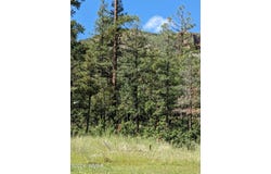 6 County Road 2073, Alpine, AZ 85920