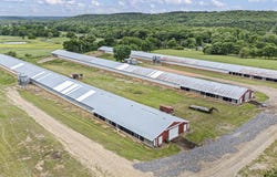 Wire Road, Mulberry, AR 72947