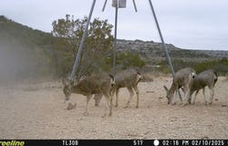 Hwy 349S, Sanderson, TX 79848